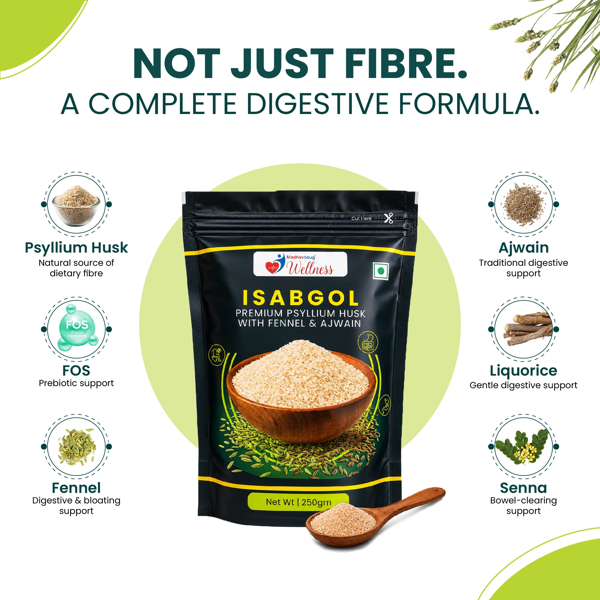 Madhavbaug Wellness Isabgol Powder