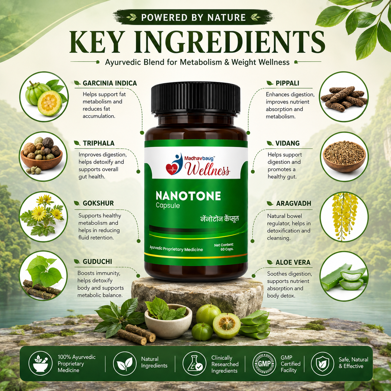 Nano Tone Capsule – Ayurvedic Detox, Fat Metabolism & Weight Wellness Support