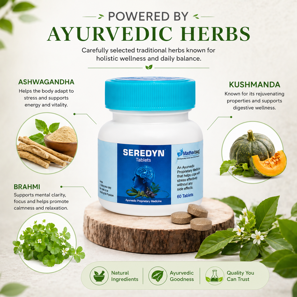 Seredyn Ayurvedic Tablets for Stress Support | Ashwagandha Brahmi Formula | Daily Wellness Supplement | 60 Tablets