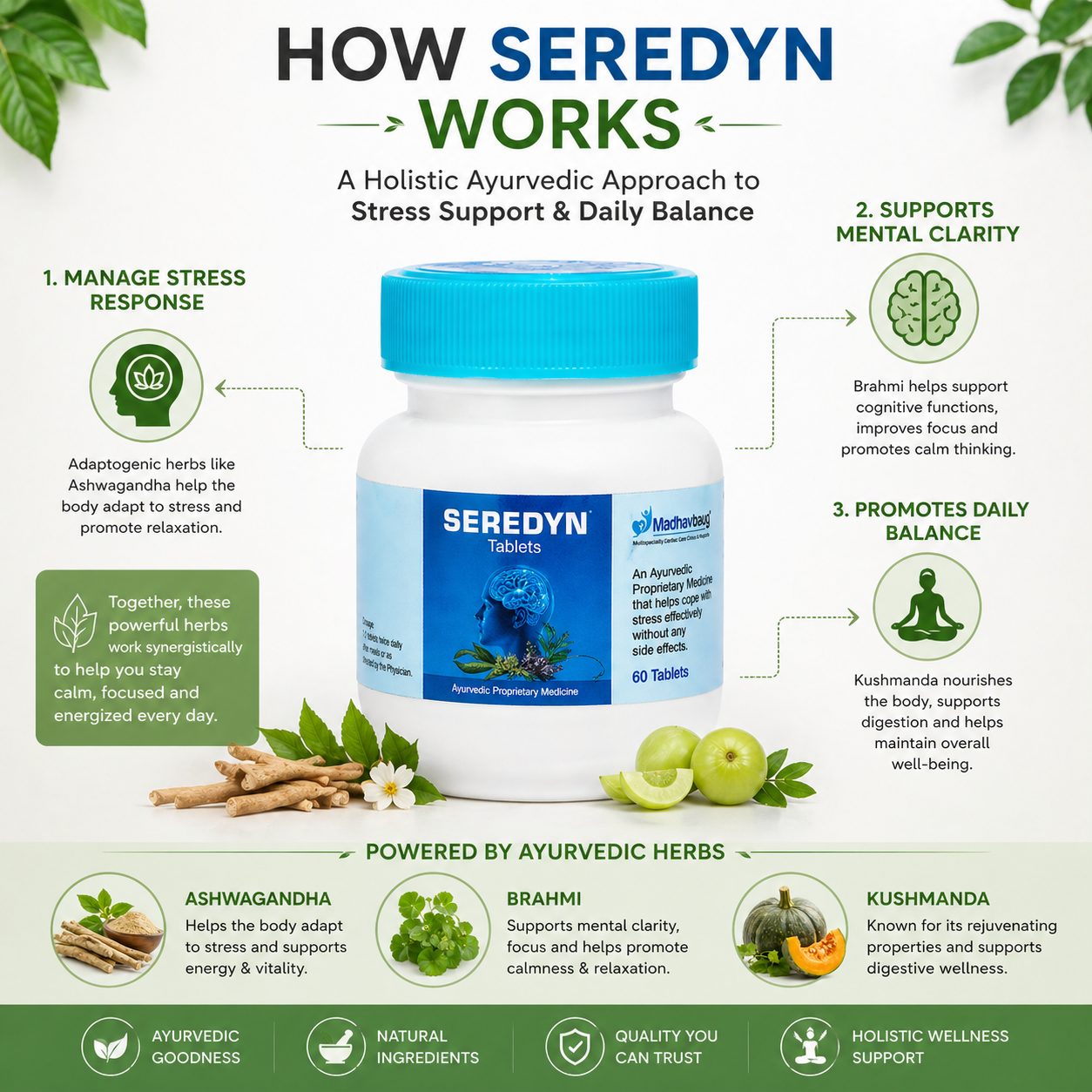 Seredyn Ayurvedic Tablets for Stress Support | Ashwagandha Brahmi Formula | Daily Wellness Supplement | 60 Tablets